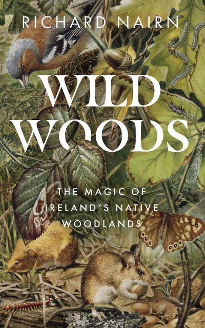 Wildwoods: The Magic of Ireland's Native Woodlands