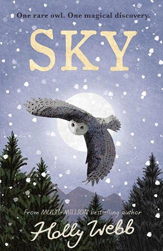 Sky by Holly Webb